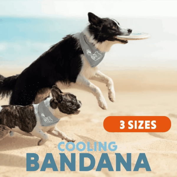 Cooling Bandana Sizes CoolPets Cooling Bandana