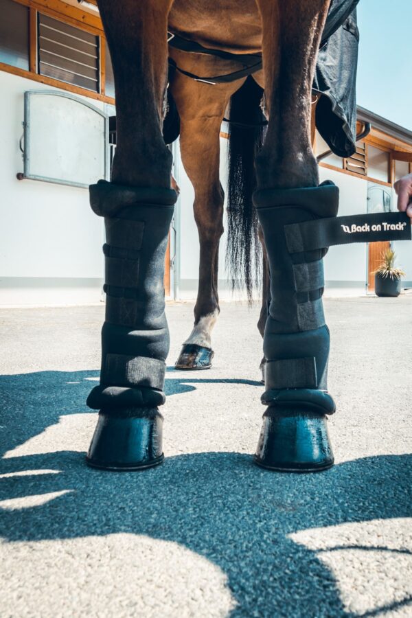 Back on Track Beenbeschermers Royal Quick Wraps