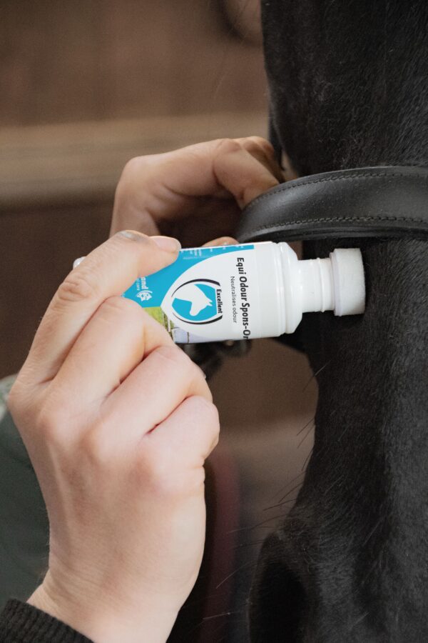 Excellent Horse Odour Spons-on