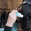 Excellent Horse Odour Spons-on