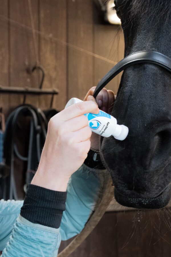 Excellent Horse Odour Spons-on