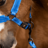 HALS1201A+3 Excellent Horse Superior Halster
