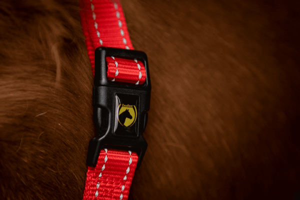 HALS1201B+2 Excellent Horse Superior Halster