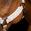 HALS1201D+3 Excellent Horse Superior Halster