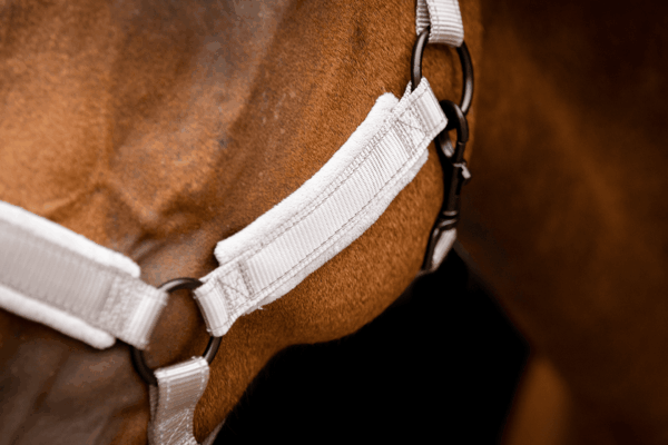 HALS1201D+3 Excellent Horse Superior Halster