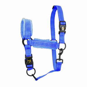 Excellent Horse Superior Halster