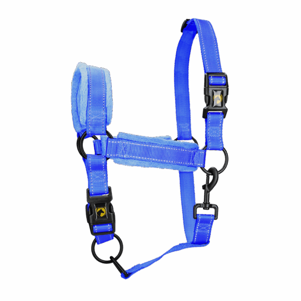 HALS1205A Excellent Horse Superior Halster