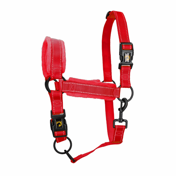 HALS1205B Excellent Horse Superior Halster