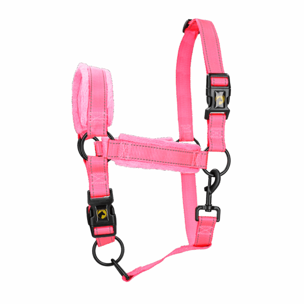 HALS1205E Excellent Horse Superior Halster
