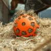 Hay Slow Feeder Fun & Flex