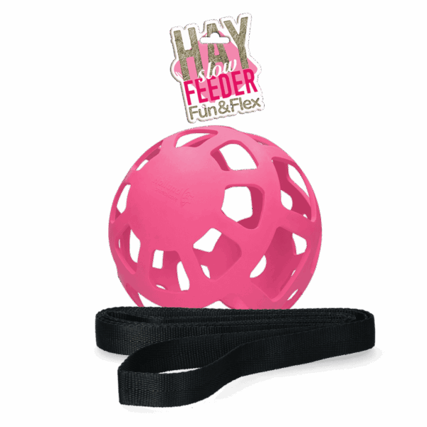 Hay Slow Feeder Fun & Flex
