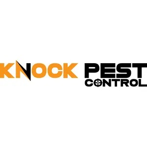 Combideal Knock Pest FlyNip Vliegenemmer + Vliegentraktatie