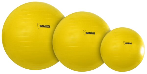 Excellent Horse Maximus Power Play Ball