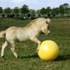 Excellent Horse Maximus Power Play Ball