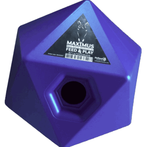 Excellent Horse Maximus Feed & Play Cube