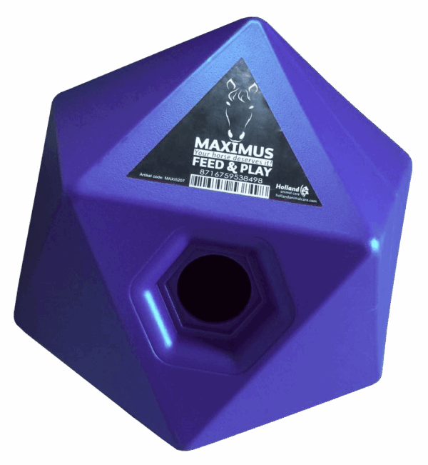 Excellent Horse Maximus Feed & Play Cube