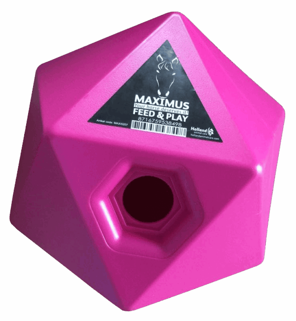 Excellent Horse Maximus Feed & Play Cube