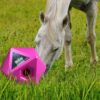 Excellent Horse Maximus Feed & Play Cube