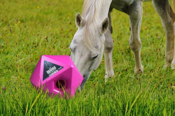 Excellent Horse Maximus Feed & Play Cube