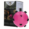 Excellent Horse Fun Play Ball