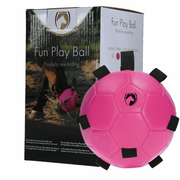 Excellent Horse Fun Play Ball