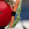 Excellent Horse Fun Play Ball