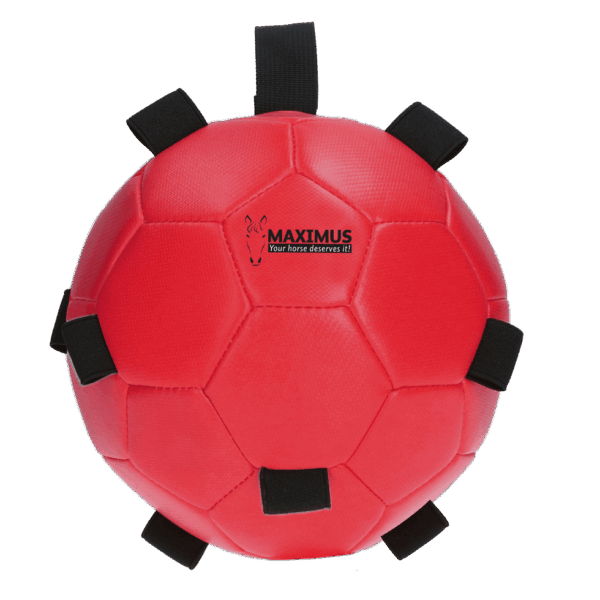 Excellent Horse Fun Play Ball