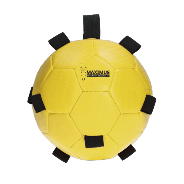 Excellent Horse Fun Play Ball