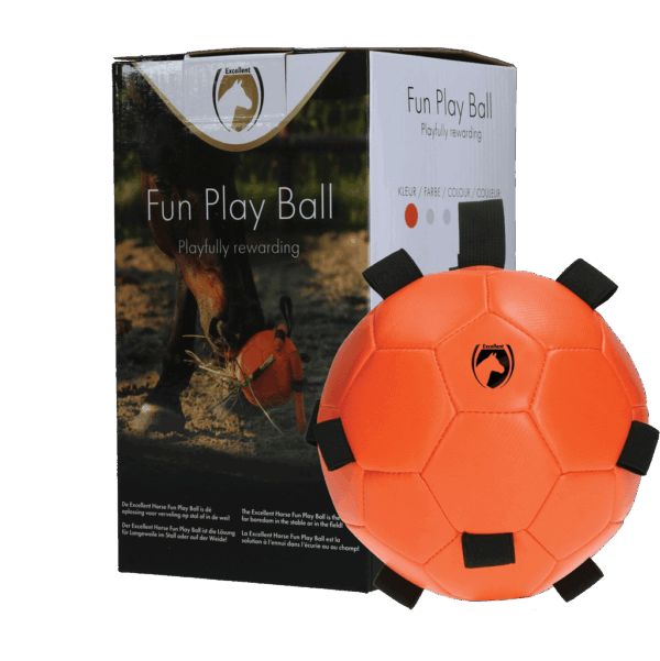Excellent Horse Fun Play Ball