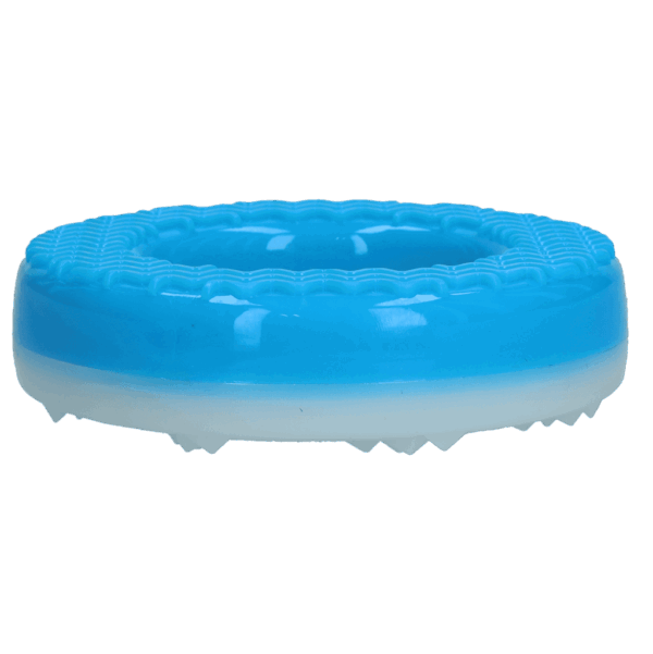 Ring2 CoolPets Ice Toy