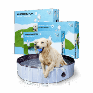 CoolPets Splash Dog Pool