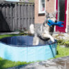 Splash Dog Pool1 CoolPets Splash Dog Pool