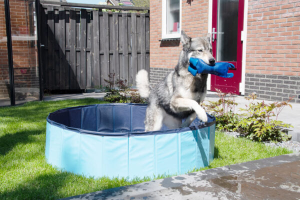 Splash Dog Pool1 CoolPets Splash Dog Pool