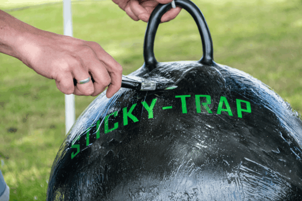 Sticky Trap Heavy