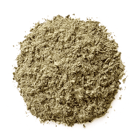 HorseFlex Toxine Support