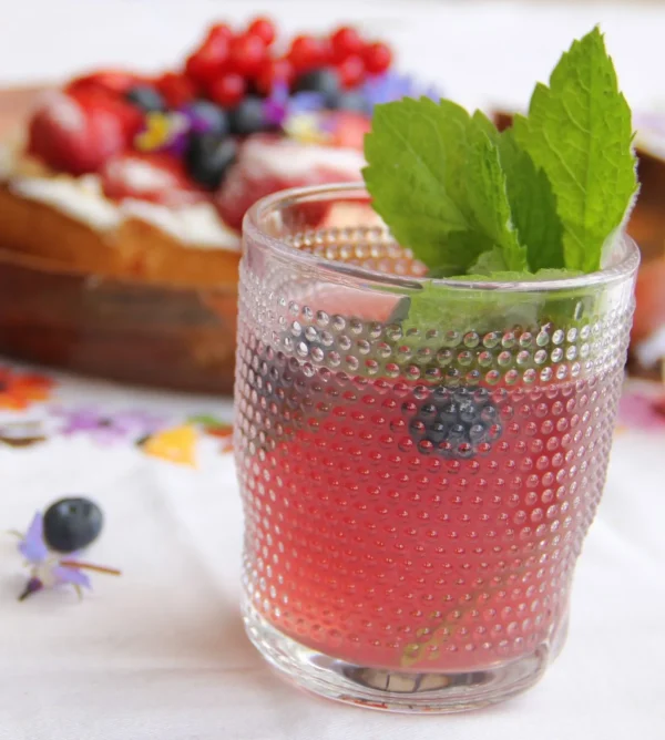 Aronia Fizz2 EM Drink Aronia Fizz