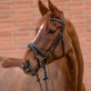81357001-PON_26 STAR Hoofdstel Diamond