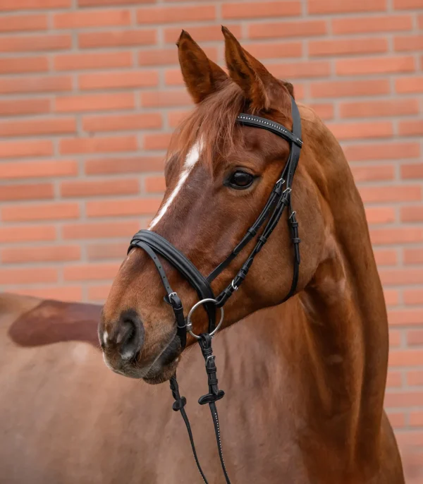 81357001-PON_26 STAR Hoofdstel Diamond