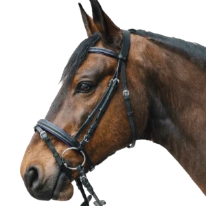 STAR Hoofdstel Diamond