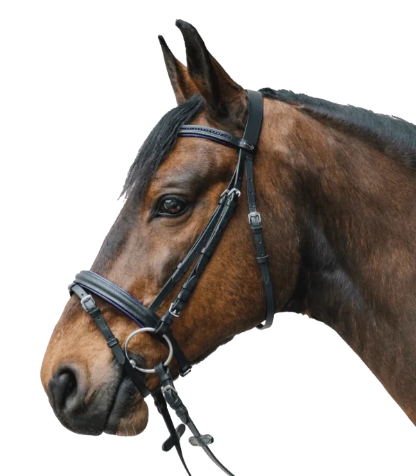 81357005-PON_12 STAR Hoofdstel Diamond