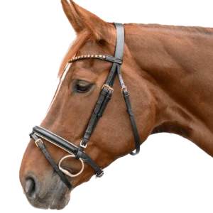 STAR Hoofdstel Rose Gold