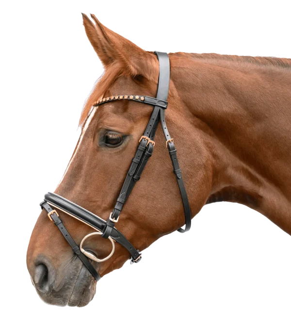 STAR Hoofdstel Rose Gold