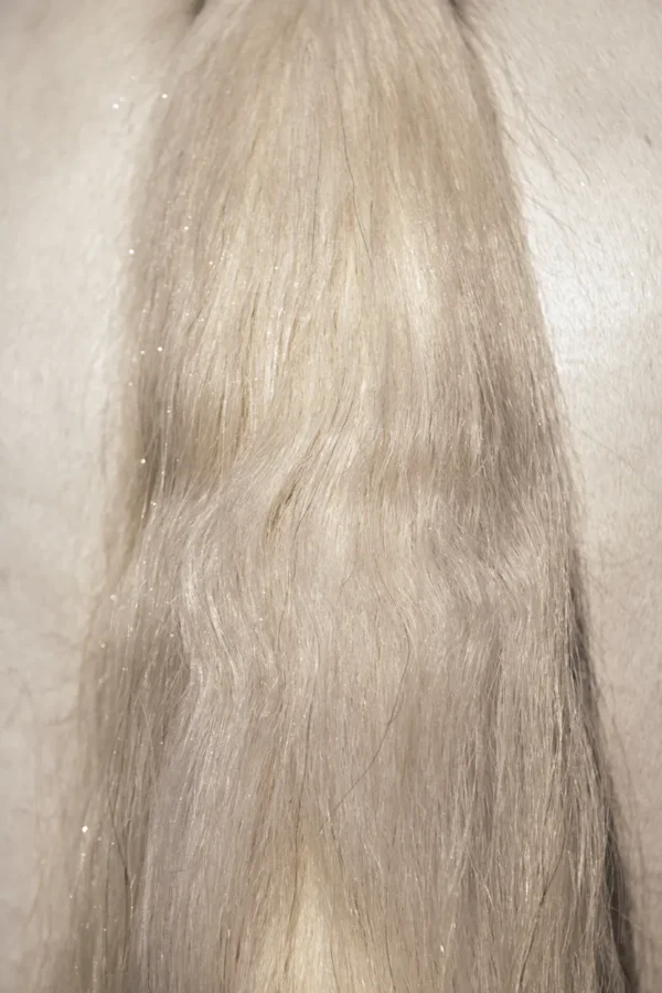 HIGL5052+4 Excellent Horse Hi Gloss Glitter Spray