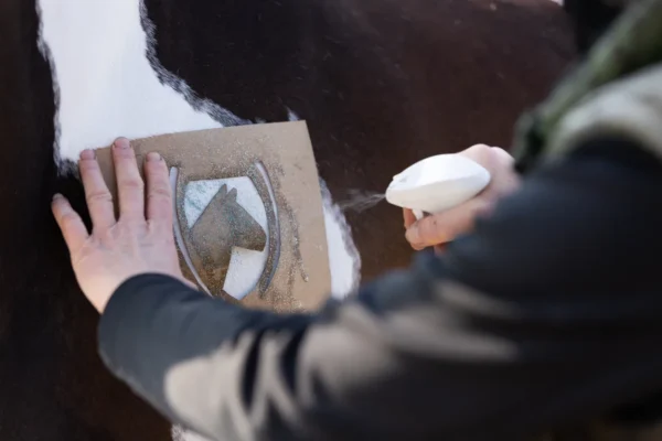 HIGL5052+5 Excellent Horse Hi Gloss Glitter Spray