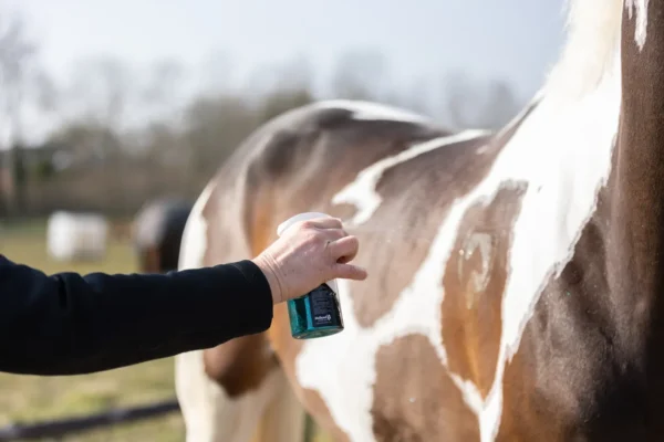 HIGL5052+6 Excellent Horse Hi Gloss Glitter Spray