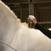 HIGL5054+3 Excellent Horse Hi Gloss Glitter Spray