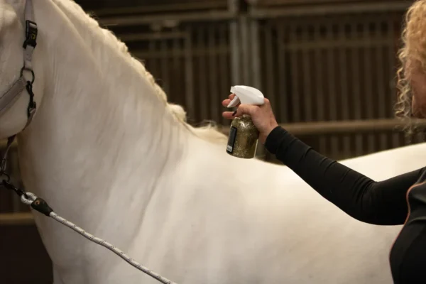 HIGL5054+3 Excellent Horse Hi Gloss Glitter Spray