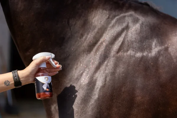 HIGL5075+2 Excellent Horse Hi Gloss Glitter Spray