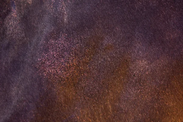 HIGL5075+3 Excellent Horse Hi Gloss Glitter Spray