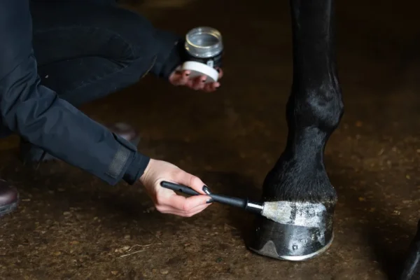 HIGL7051+4 Excellent Horse Hi Gloss Glitter Hoof Polish